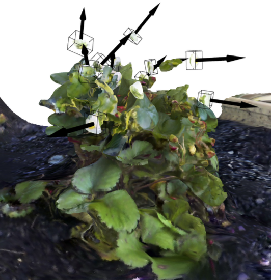 Robotic Phenotyping for Small Scale Urban Farms